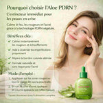 🟢 VERT — Sérum Aloe PDRN (Apaisant / Rougeurs / Barrière) - LATIF🟢 VERT — Sérum Aloe PDRN (Apaisant / Rougeurs / Barrière)Sérum visageLATIFLATIF🟢 VERT — Sérum Aloe PDRN (Apaisant / Rougeurs / Barrière)